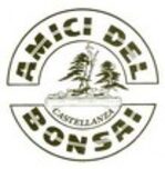 Logo associazione Amici del Bonsai