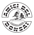 Logo associazione Amici del Bonsai