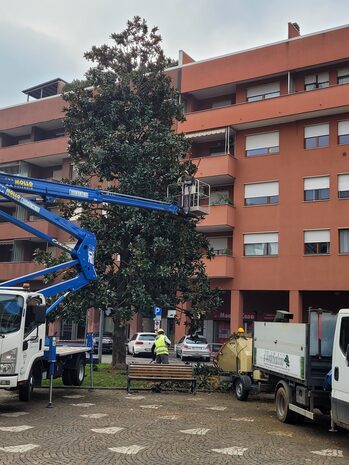 Operai impegnati nelle manutenzioni del verde